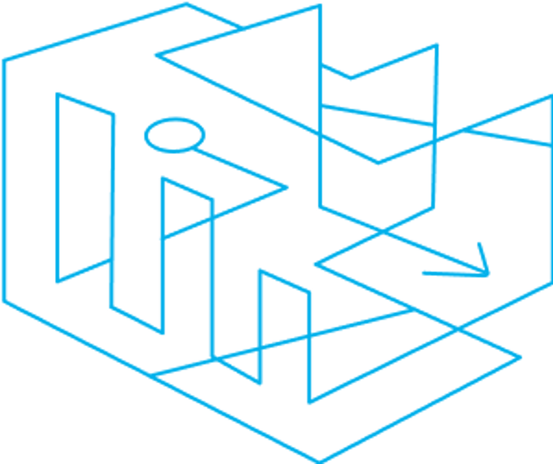 Automation & Reporting